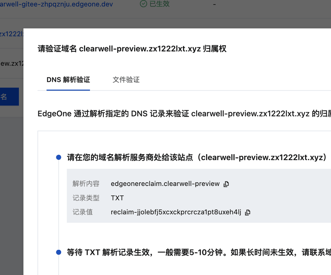 预览域名的 TXT 验证