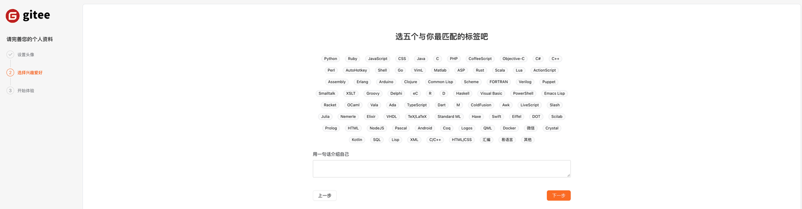 完善资料第 2 步：编程语言标签